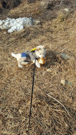 혀니주님이 올린 리뷰 사진 2