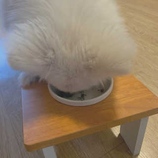 둡보이님이 올린 리뷰 사진 3