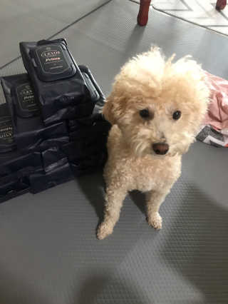 서주나님이 올린 리뷰 사진 1