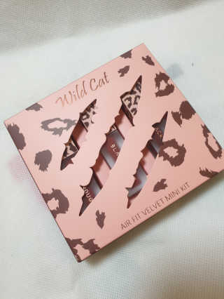 [블랙루즈] 에어 핏 벨벳 미니 키트4 — 5점을 준 리뷰어가 2019년 11월 올린 사용 사진