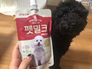 [빙그레] 에버그로 생유산균 1봉（10포입）+펫밀크2팩 — 4점을 준 리뷰어가 2019년 5월 올린 사용 사진