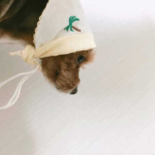 김민선님이 올린 리뷰 사진 3
