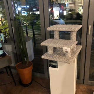 barber님이 올린 리뷰 사진 2