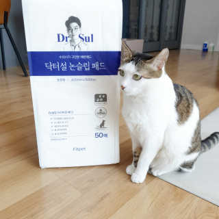 제니언니님이 올린 리뷰 사진 1