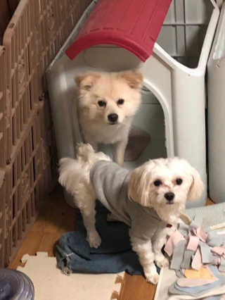 정혜원님이 올린 리뷰 사진 1