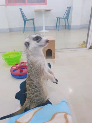 뚜리님이 올린 리뷰 사진 3