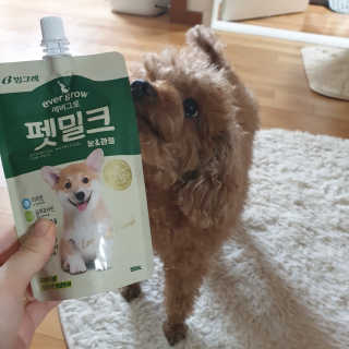 [빙그레] 에버그로 생유산균 1봉（10포입）+펫밀크2팩 — 5점을 준 리뷰어가 2019년 5월 올린 사용 사진