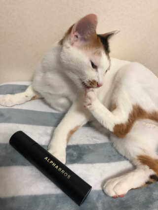 됴이님이 올린 리뷰 사진 4
