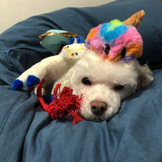 은지짱님이 올린 리뷰 사진 1