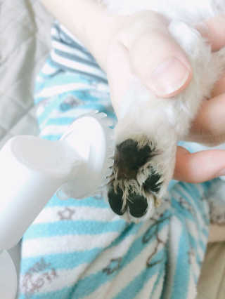 앙두님이 올린 리뷰 사진 2
