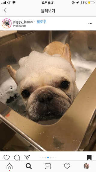 탱이님이 올린 리뷰 사진 2