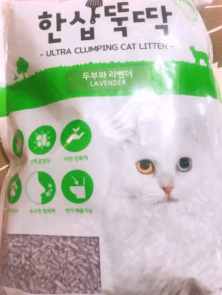 [펫토리아] BEST 고양이두부모래 6L 한삽뚝딱 — 5점을 준 리뷰어가 2019년 1월 올린 사용 사진