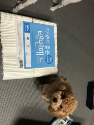 모모맘님이 올린 리뷰 사진 4