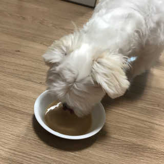 토리님이 올린 리뷰 사진 3