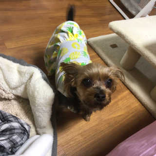 itsmeinyeong님이 올린 리뷰 사진 3