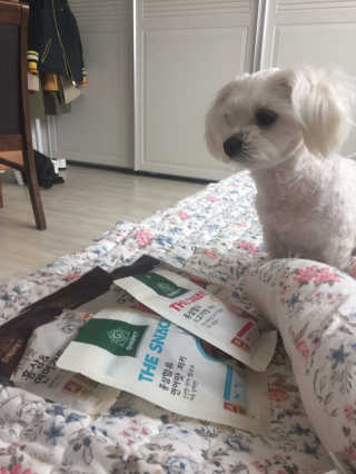 김주은님이 올린 리뷰 사진 1