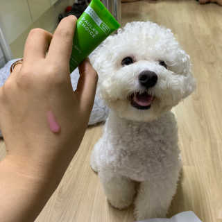 young님이 올린 리뷰 사진 3