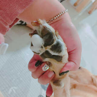 유은경님이 올린 리뷰 사진 1