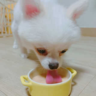 aevely님이 올린 리뷰 사진 1