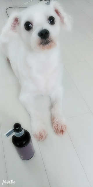 여늬님이 올린 리뷰 사진 2
