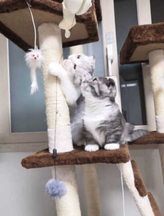 송유미님이 올린 리뷰 사진 2