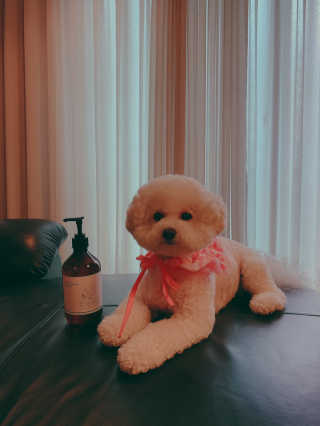 소유띠님이 올린 리뷰 사진 1