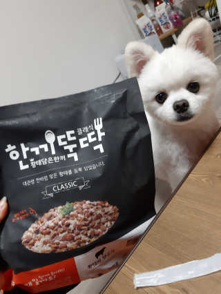 [펫토리아] 맛도 영양도 BEST 한끼뚝딱 강아지 사료 — 5점을 준 리뷰어가 2018년 12월 올린 사용 사진