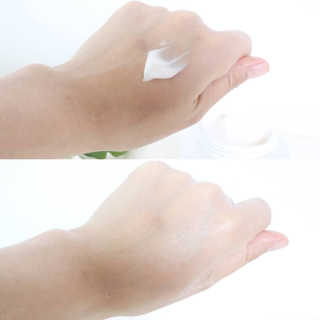 클로이님이 올린 리뷰 사진 2