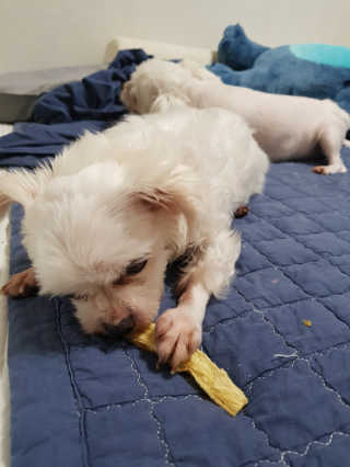 욤이잉님이 올린 리뷰 사진 1