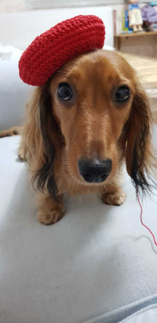 주짱님이 올린 리뷰 사진 3