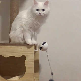 졔린님이 올린 리뷰 사진 1