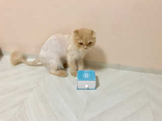 또니님이 올린 리뷰 사진 2