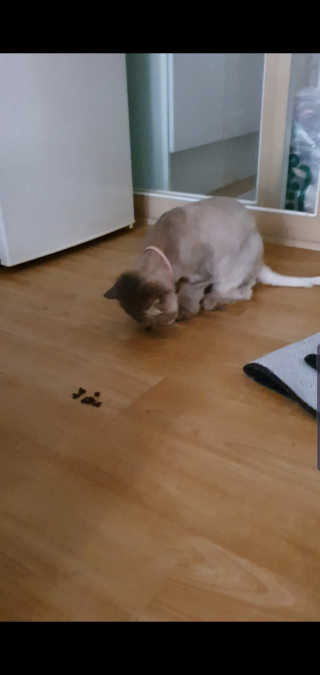 꼬깃꼬기님이 올린 리뷰 사진 3