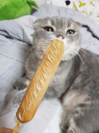백현지님이 올린 리뷰 사진 3