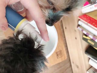 madsanta님이 올린 리뷰 사진 4