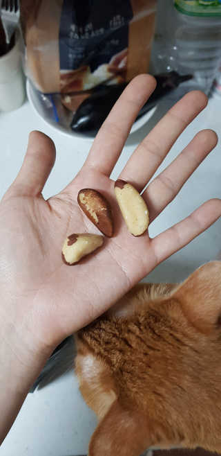 네롱이님이 올린 리뷰 사진 4