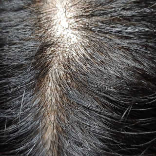 파랑새41님이 올린 리뷰 사진 3