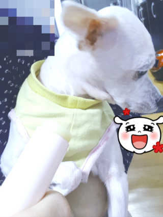 킴쏘임니다님이 올린 리뷰 사진 3