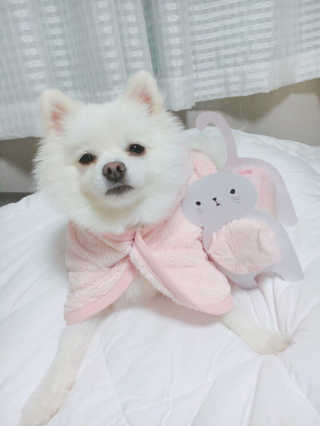 김부건님이 올린 리뷰 사진 1