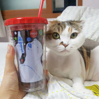 백현지님이 올린 리뷰 사진 1
