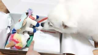 진진님이 올린 리뷰 사진 2