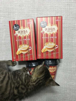 (주)쟈뎅 쟈뎅 까페모리 쿠크다스 까페라떼 — 5점을 준 리뷰어가 2017년 11월 올린 사용 사진