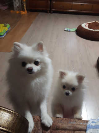 안나님이 올린 리뷰 사진 2