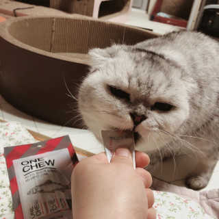 토모님이 올린 리뷰 사진 3