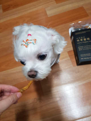 두부님이 올린 리뷰 사진 4