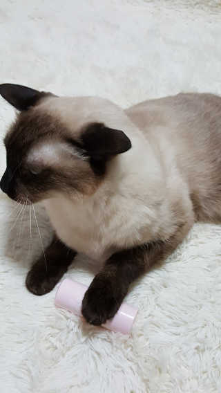 벚꽃여왕님이 올린 리뷰 사진 4