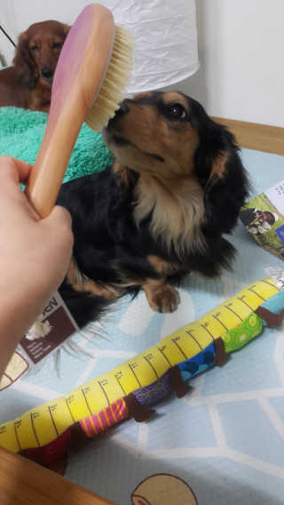 WooKyoungKim님이 올린 리뷰 사진 4