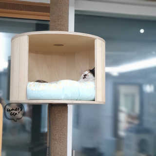 제니언니님이 올린 리뷰 사진 4
