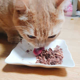 lesi님이 올린 리뷰 사진 1