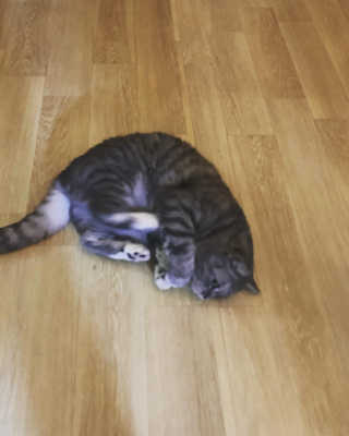 호롤로님이 올린 리뷰 사진 4